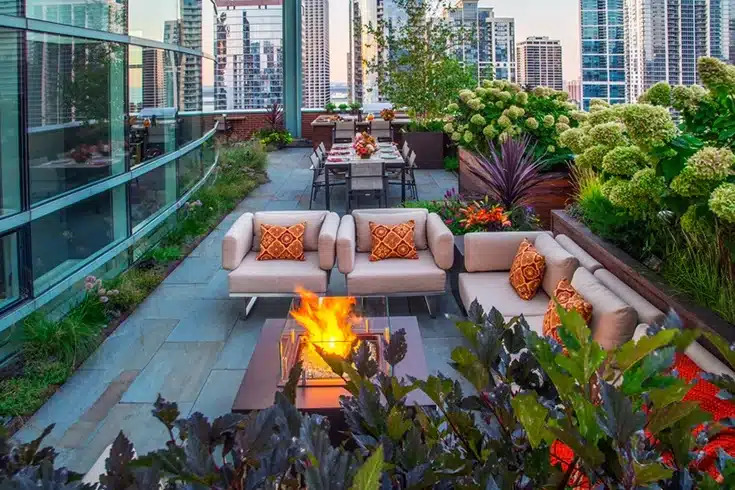 Urban Rooftop Garden